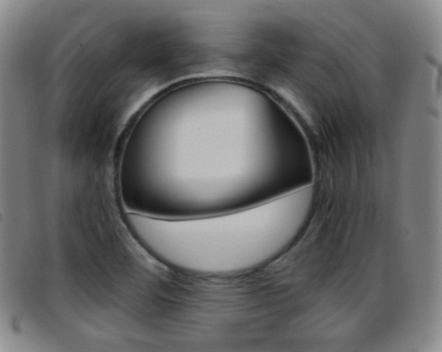 X0000097921460200803141020
