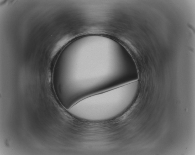 X0000097921461200803141020