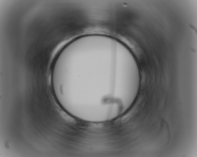 X0000097921462200803141020