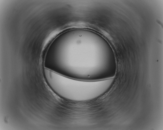 X0000097921464200803141020