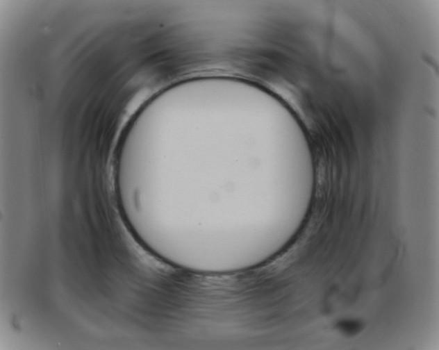 X0000097921466200803141020