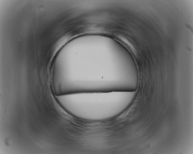 X0000097921467200803141020