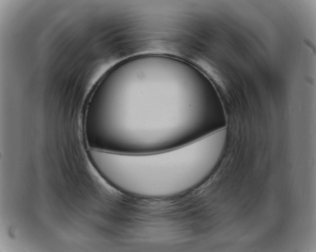 X0000097921468200803141020