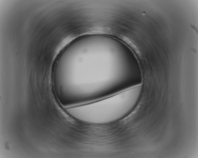 X0000097921469200803141020