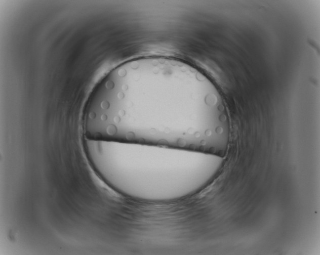 X0000097921471200803141020