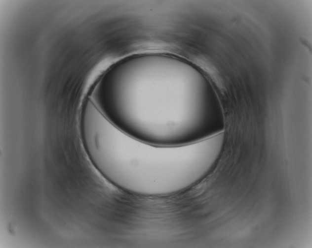 X0000097921472200803141020