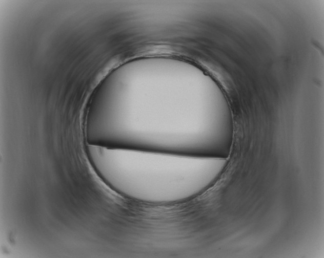X0000097921475200803141020