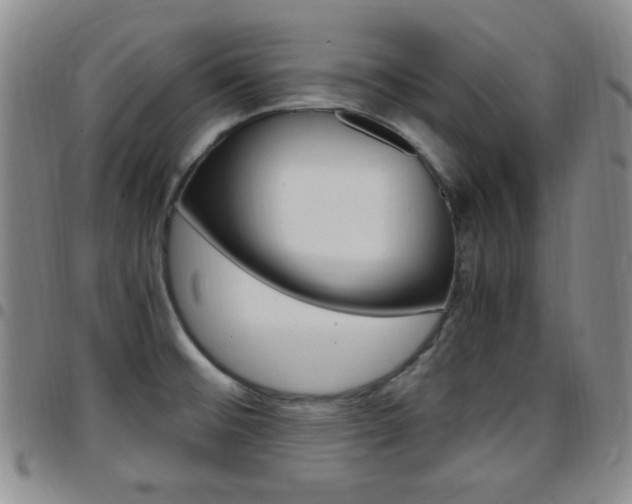 X0000097921476200803141020