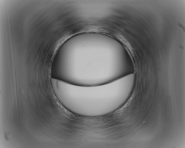 X0000097921481200803141020