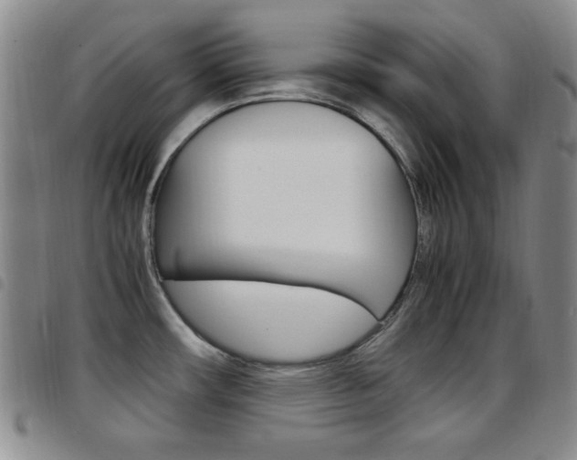 X0000097921482200803141020