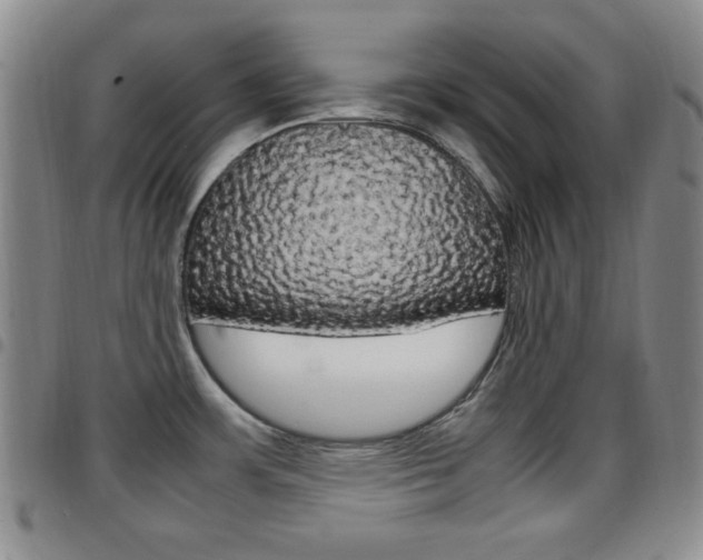 X0000097921483200803141020