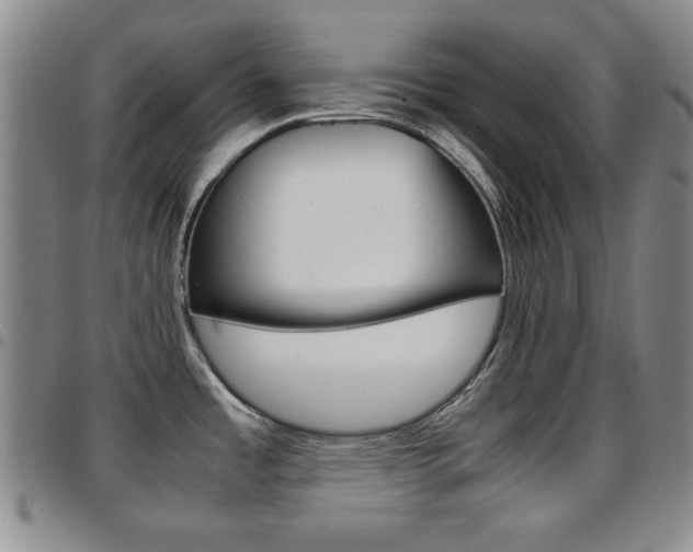 X0000097921485200803141020
