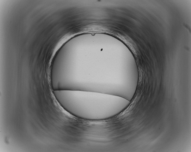 X0000097921486200803141020