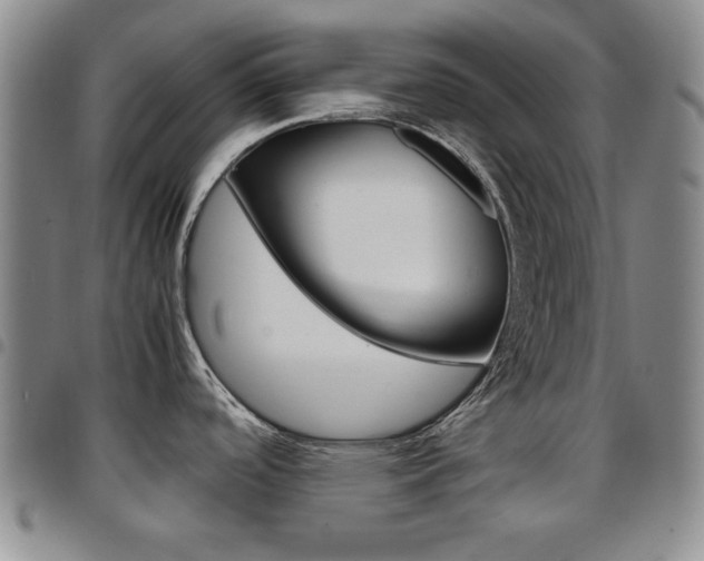 X0000097921488200803141020