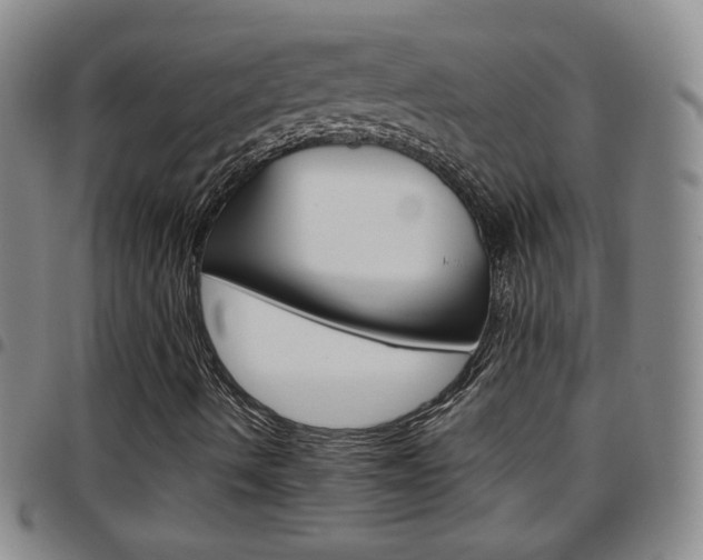 X0000097921490200803141019
