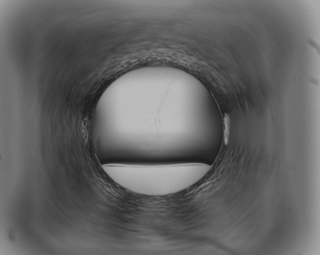 X0000097921491200803141019