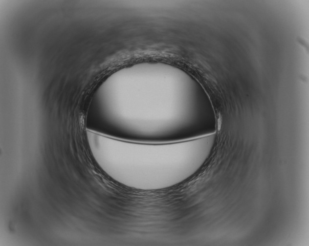 X0000097921492200803141019