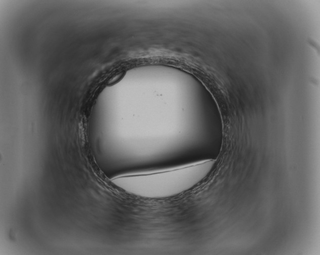 X0000097921493200803141019