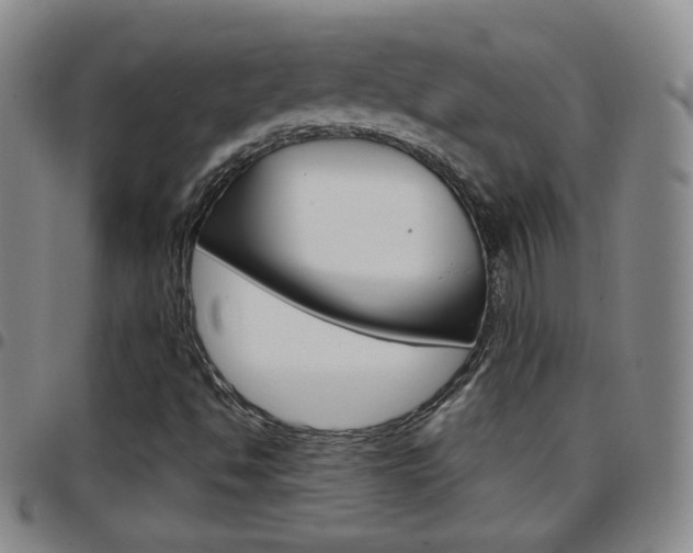 X0000097921494200803141019