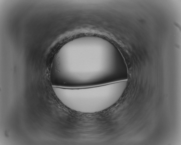 X0000097921495200803141019