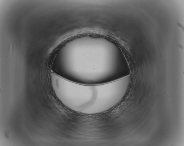 X0000097921496200803141019