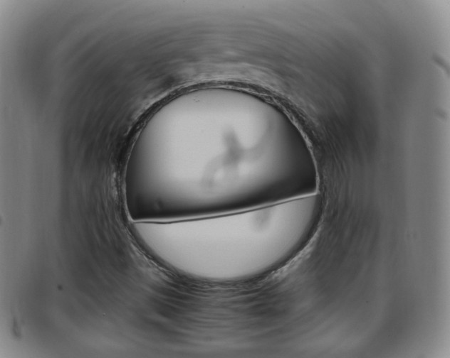 X0000097921497200803141019