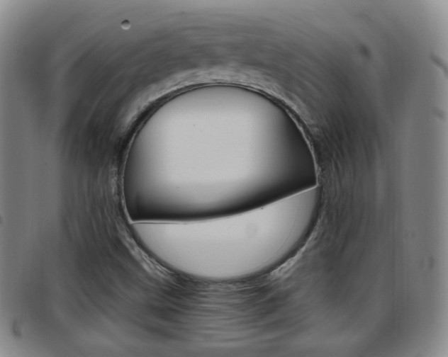 X0000097921499200803141019
