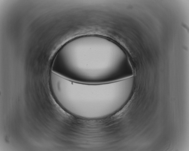 X0000097921500200803141019