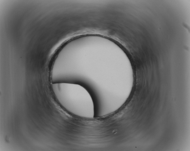 X0000097921502200803141019