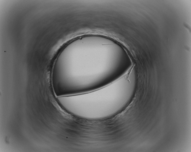 X0000097921503200803141019