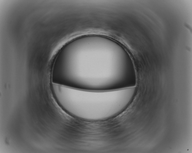 X0000097921504200803141019