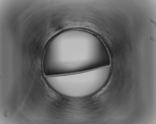 X0000097921505200803141019