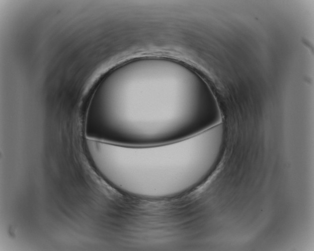 X0000097921506200803141019