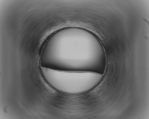 X0000097921507200803141019