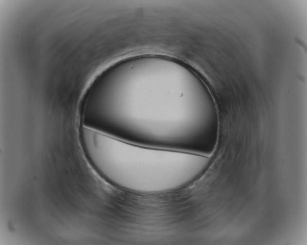 X0000097921508200803141019