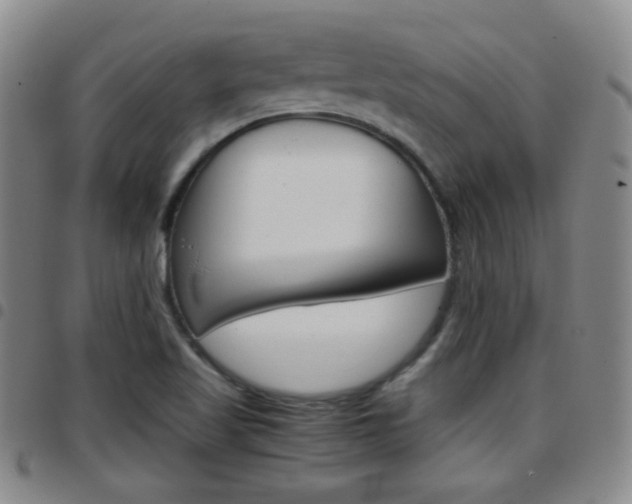 X0000097921509200803141019