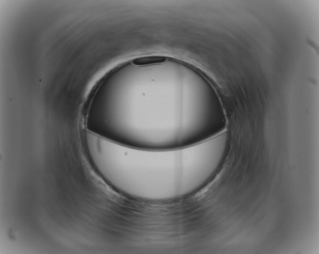 X0000097921510200803141019