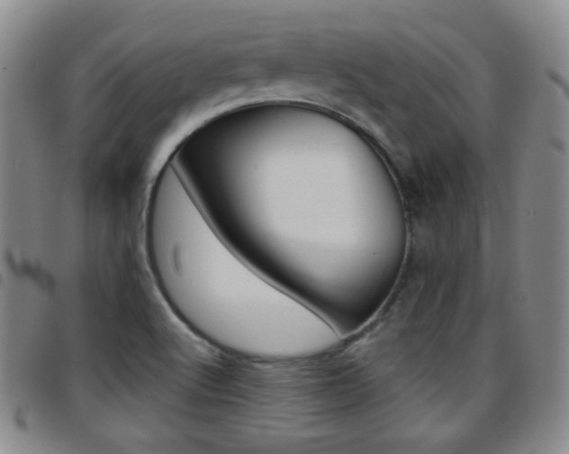 X0000097921512200803141020