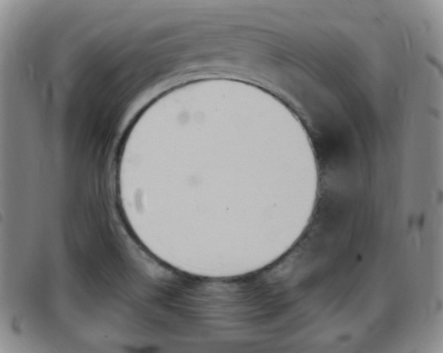 X0000097921514200803141020