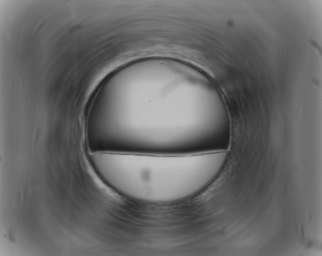 X0000097921515200803141020