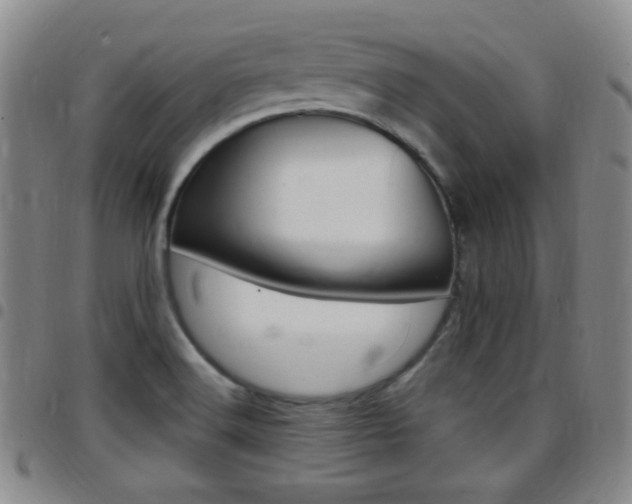 X0000097921516200803141020