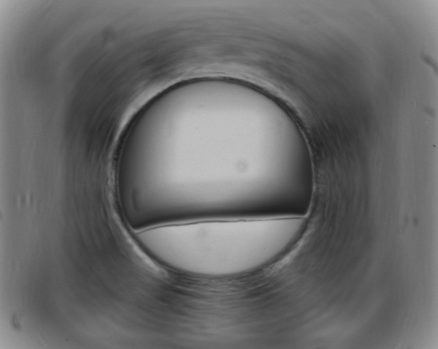 X0000097921517200803141020