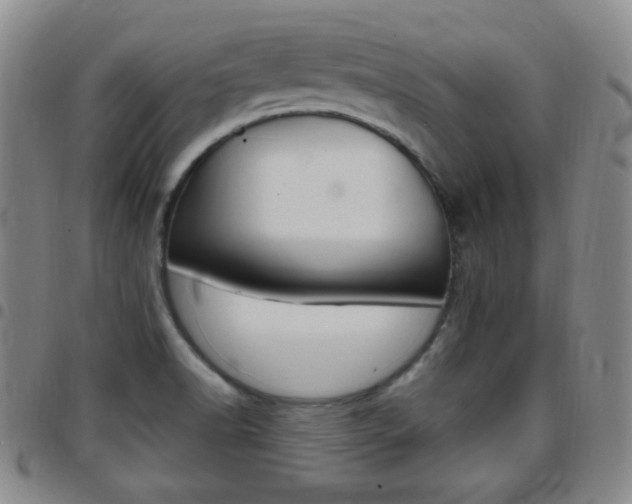 X0000097921518200803141020