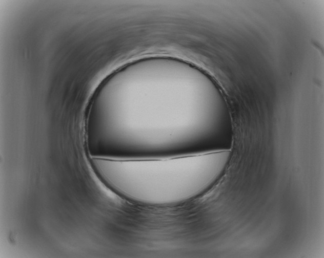 X0000097921519200803141020