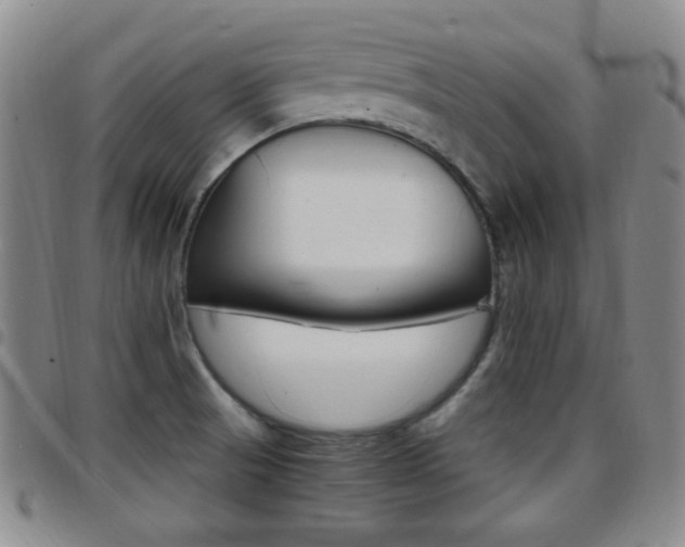 X0000097921521200803141020