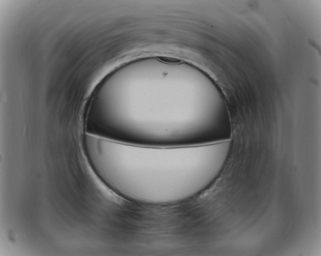 X0000097921523200803141020