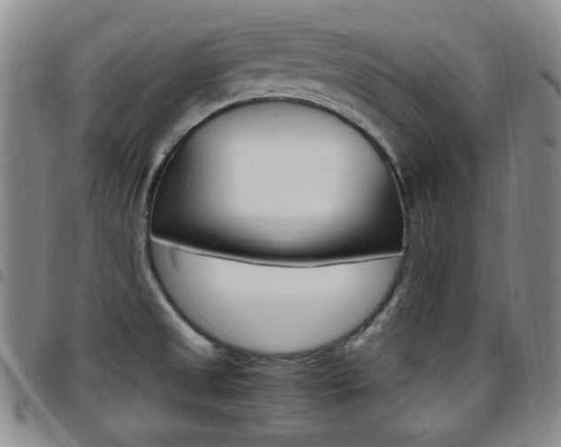 X0000097921525200803141020