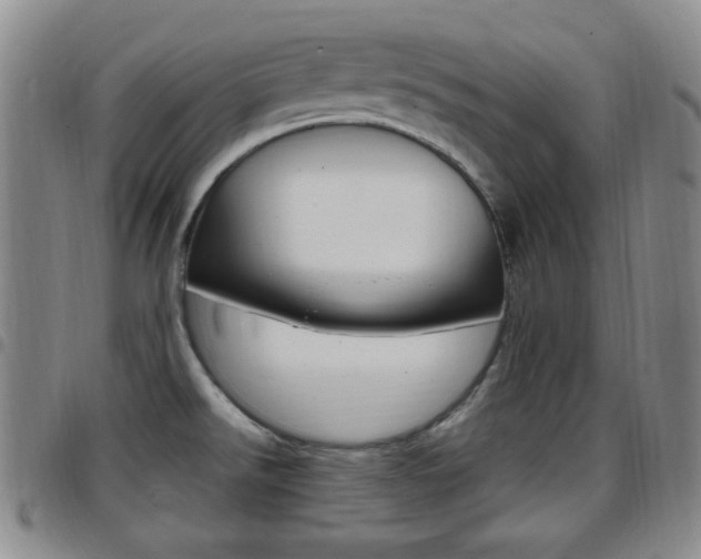 X0000097921526200803141020