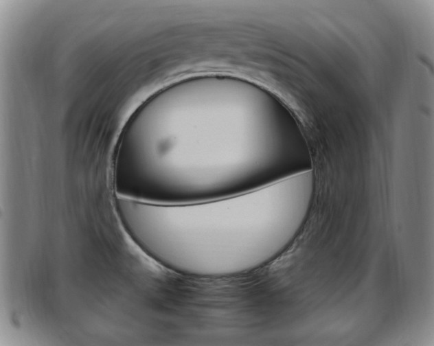 X0000097921527200803141020