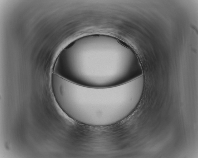 X0000097921528200803141020